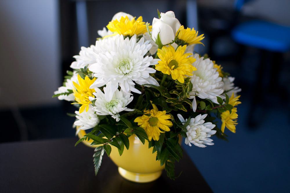 I received flowers from my parents today along with this note: "Our pride in what you've accomplished greatly outweighs our lack of understanding about what you've accomplished."